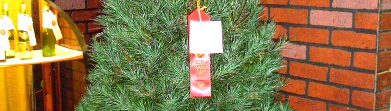 Picture of Wright's Tree Farm Christmas tree