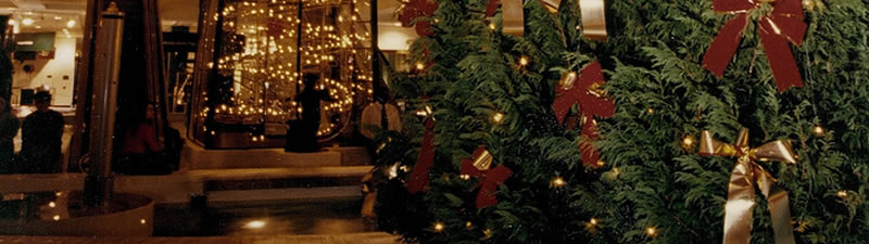 Picture of Wright's Tree Farm display trees